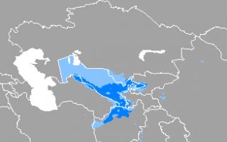 Происхождение узбекского языка