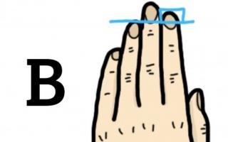 Длина пальцев рук: значение в психологии Что говорит о вашем характере длина